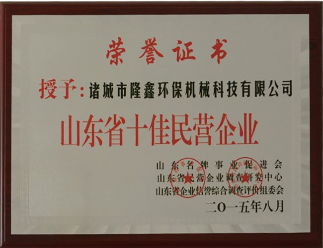 十佳民营企业